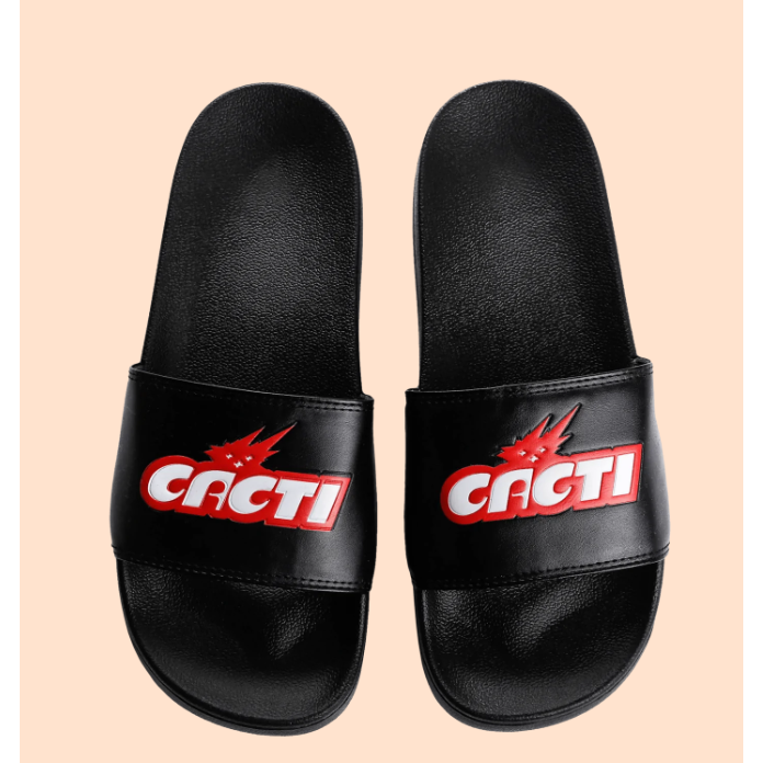 Cacti Slides XL