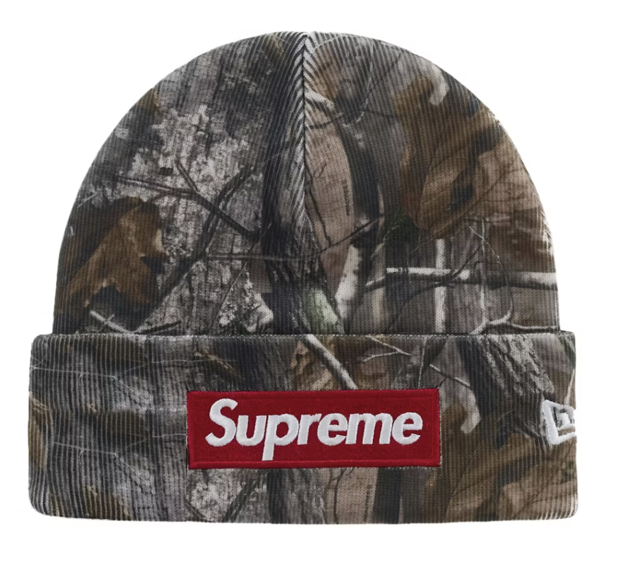 Supreme New Era Box Logo Beanie (FW25) Realtree AP Camo