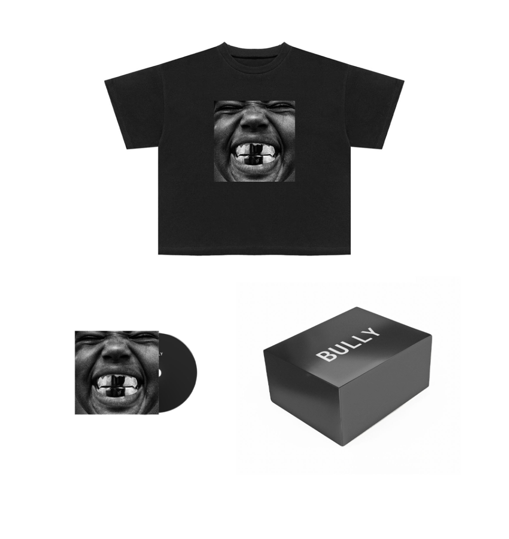 YE BULLY TS-O7 BOX