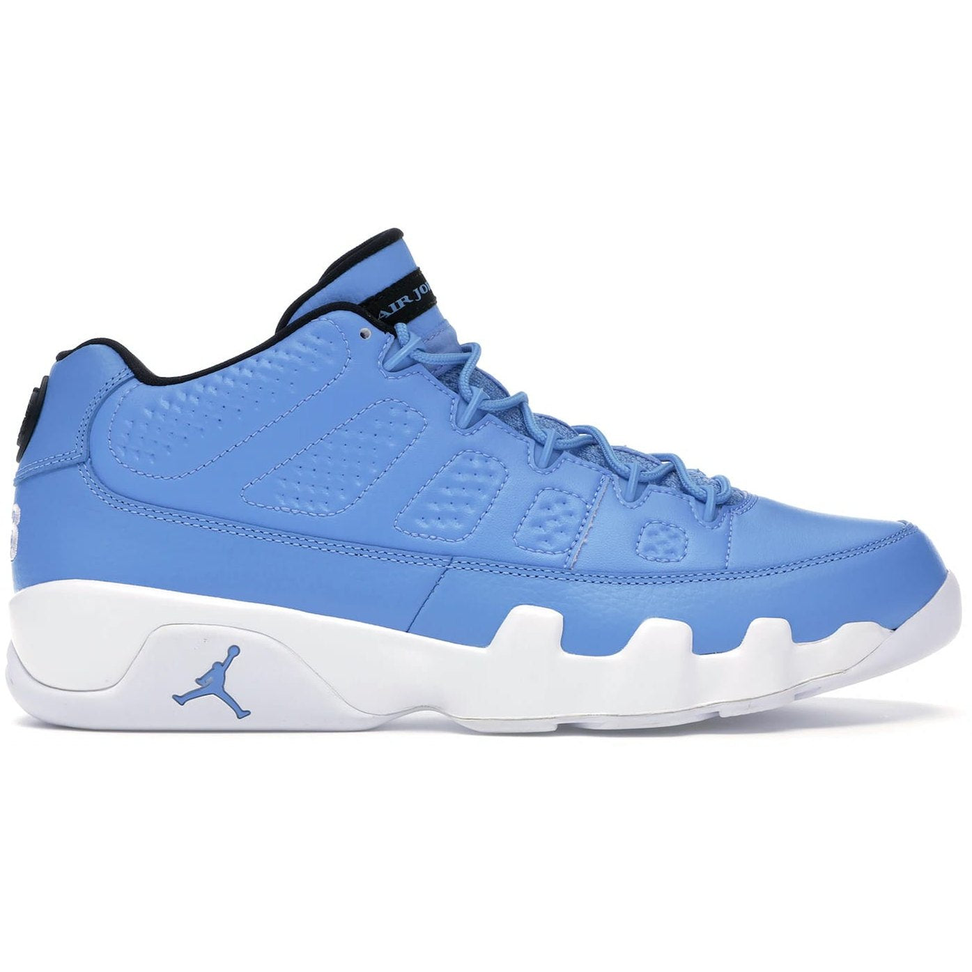 Jordan 9 Retro Low Pantone
